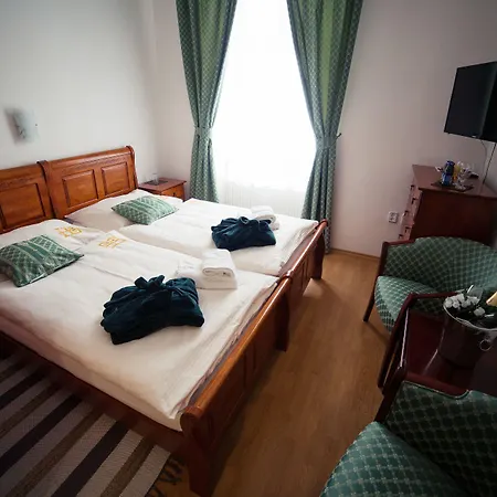 Hotell Bristol - Historic Elegance Banská Štiavnica