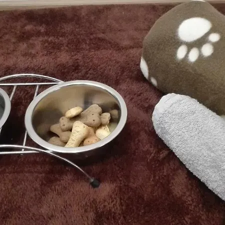 Bristol Banská Štiavnica